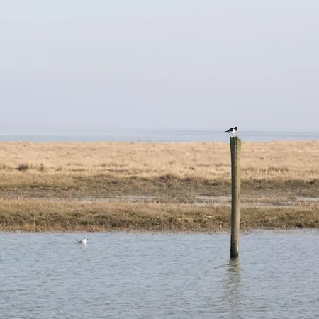 Sea & Field Loft Mit Panoramablick Nahe Nordsee Apartman